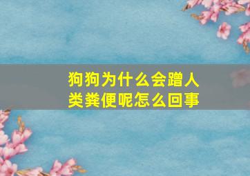 狗狗为什么会蹭人类粪便呢怎么回事