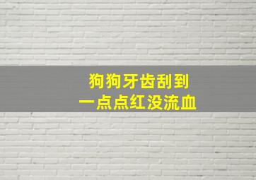 狗狗牙齿刮到一点点红没流血