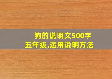 狗的说明文500字五年级,运用说明方法