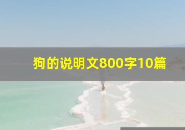 狗的说明文800字10篇