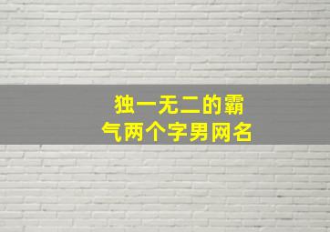 独一无二的霸气两个字男网名