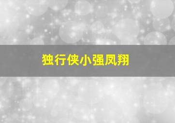 独行侠小强凤翔