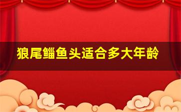 狼尾鲻鱼头适合多大年龄