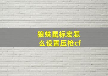 狼蛛鼠标宏怎么设置压枪cf