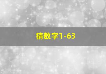 猜数字1-63