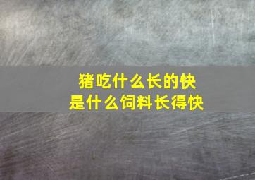 猪吃什么长的快是什么饲料长得快