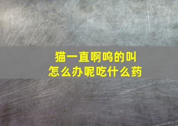 猫一直啊呜的叫怎么办呢吃什么药