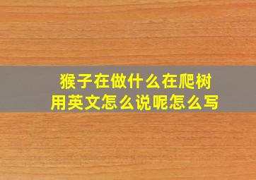 猴子在做什么在爬树用英文怎么说呢怎么写