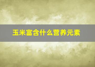 玉米富含什么营养元素