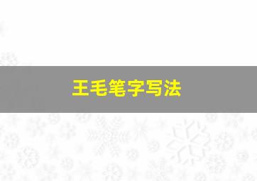 王毛笔字写法