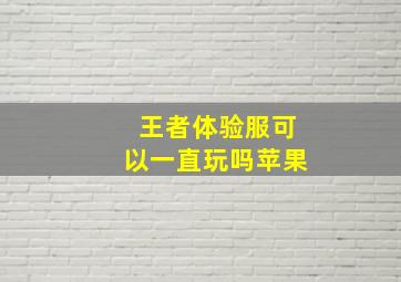 王者体验服可以一直玩吗苹果