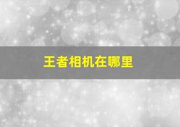 王者相机在哪里