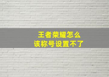 王者荣耀怎么该称号设置不了