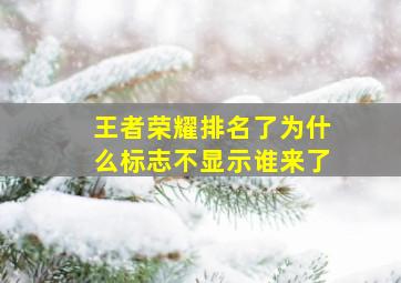 王者荣耀排名了为什么标志不显示谁来了