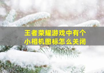 王者荣耀游戏中有个小相机图标怎么关闭