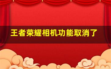 王者荣耀相机功能取消了