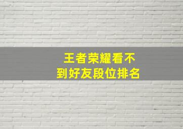 王者荣耀看不到好友段位排名