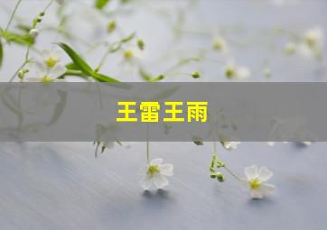 王雷王雨