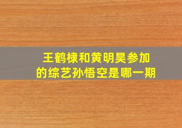 王鹤棣和黄明昊参加的综艺孙悟空是哪一期