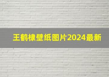 王鹤棣壁纸图片2024最新