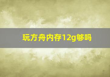 玩方舟内存12g够吗