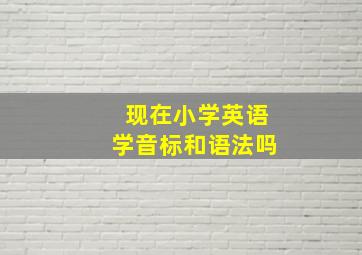 现在小学英语学音标和语法吗