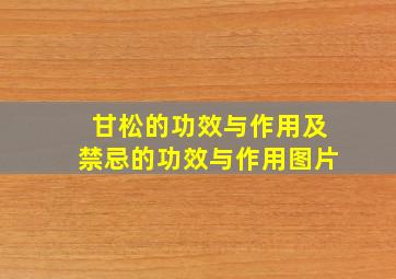 甘松的功效与作用及禁忌的功效与作用图片