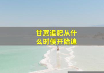 甘蔗追肥从什么时候开始追