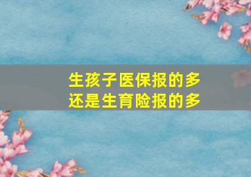 生孩子医保报的多还是生育险报的多