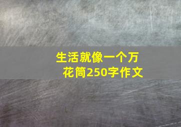 生活就像一个万花筒250字作文