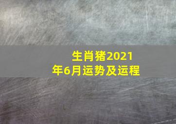 生肖猪2021年6月运势及运程