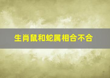 生肖鼠和蛇属相合不合