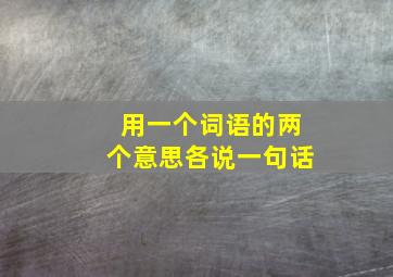 用一个词语的两个意思各说一句话