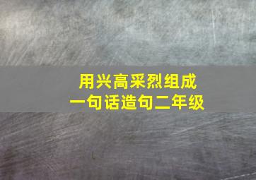 用兴高采烈组成一句话造句二年级