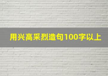 用兴高采烈造句100字以上