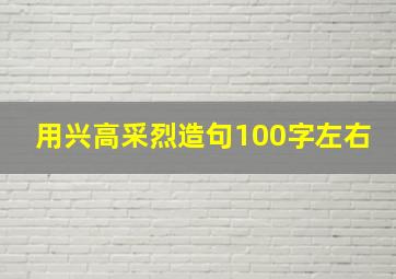 用兴高采烈造句100字左右