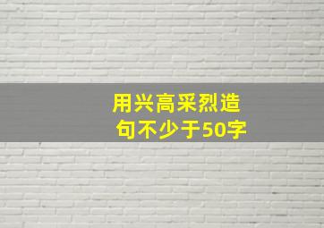 用兴高采烈造句不少于50字