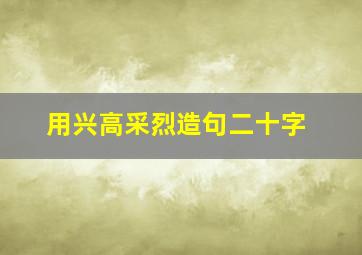 用兴高采烈造句二十字