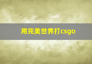 用完美世界打csgo