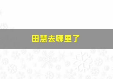 田慧去哪里了