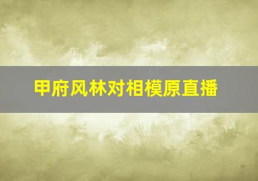 甲府风林对相模原直播