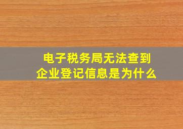 电子税务局无法查到企业登记信息是为什么