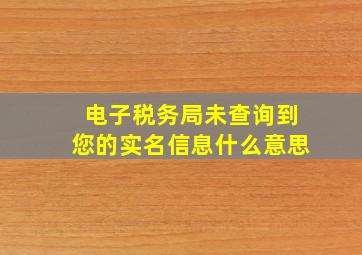 电子税务局未查询到您的实名信息什么意思