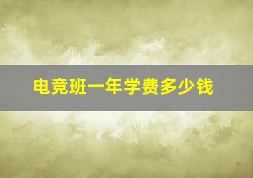 电竞班一年学费多少钱