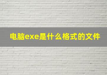 电脑exe是什么格式的文件