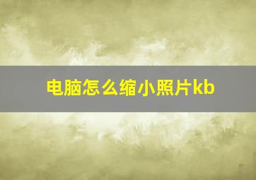 电脑怎么缩小照片kb