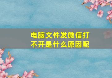 电脑文件发微信打不开是什么原因呢