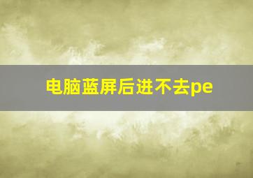 电脑蓝屏后进不去pe