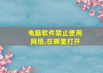 电脑软件禁止使用网络,在哪里打开