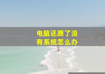 电脑还原了没有系统怎么办